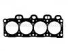 прокладка цилиндра Cylinder Head Gasket:10111300
