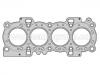 Junta de culata Cylinder Head Gasket:1 100 328