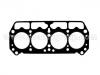 Cylinder Head Gasket:0209H9