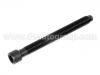 Vis de culasse Cylinder Head Bolt:058 103 385 B