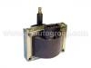 Zündspule Ignition Coil:5970.43