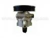Hydraulikpumpe, Lenkung Power Steering Pump:4007.V8