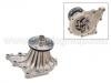 Wasserpumpe Water Pump:16100-49805