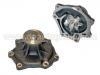 Water Pump:21010-06J28