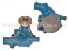 Water Pump:21010-61527