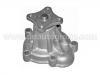 Water Pump:21010-01M00
