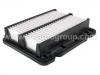 Filter, Innenraumluft Cabin Air Filter:96539649