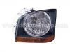 Faros delanteros Headlight:223-1116L-LDEM2