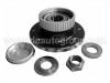 輪轂軸承單元 Wheel Hub Bearing:3748.41