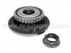 輪轂軸承單元 Wheel Hub Bearing:3748.35