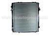 Heizk?rper Radiator:16410-0C041