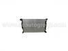 Heizk?rper Radiator:8E0 121 251 P