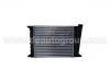 Heizk?rper Radiator:171 121 253 E