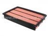 Luftfilter Air Filter:16546-AR000