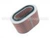 Luftfilter Air Filter:MD603384