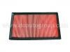 Luftfilter Air Filter:16546-V0193