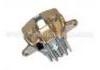 Bremssattel Brake Caliper:4401.A4
